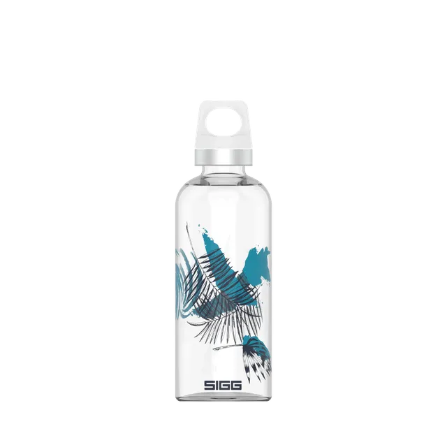 sigg-star-botella-de-vidrio-borosilicato-con-dise-o-sin-bpa-apta-para-bebidas-co image 1