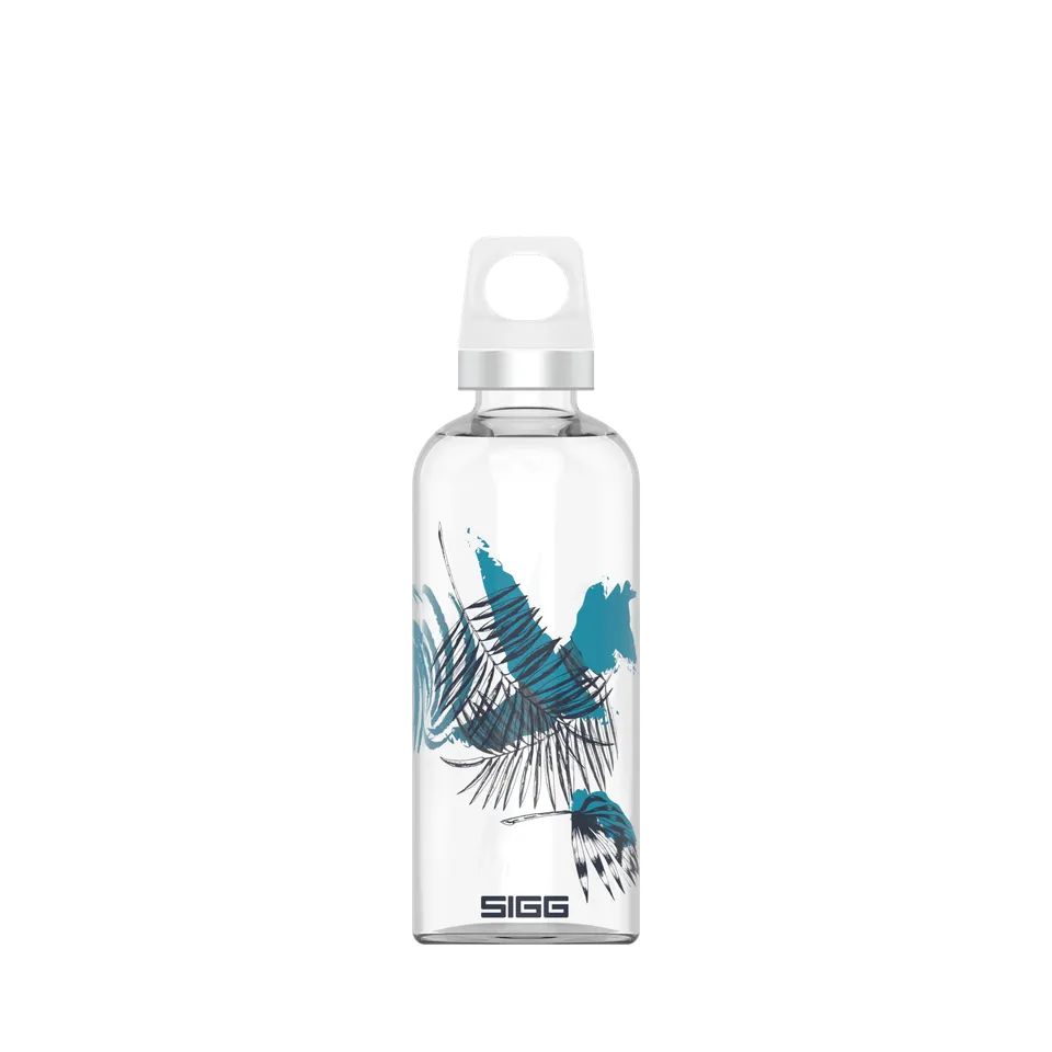 sigg-star-botella-de-vidrio-borosilicato-con-dise-o-sin-bpa-apta-para-bebidas-co image 1