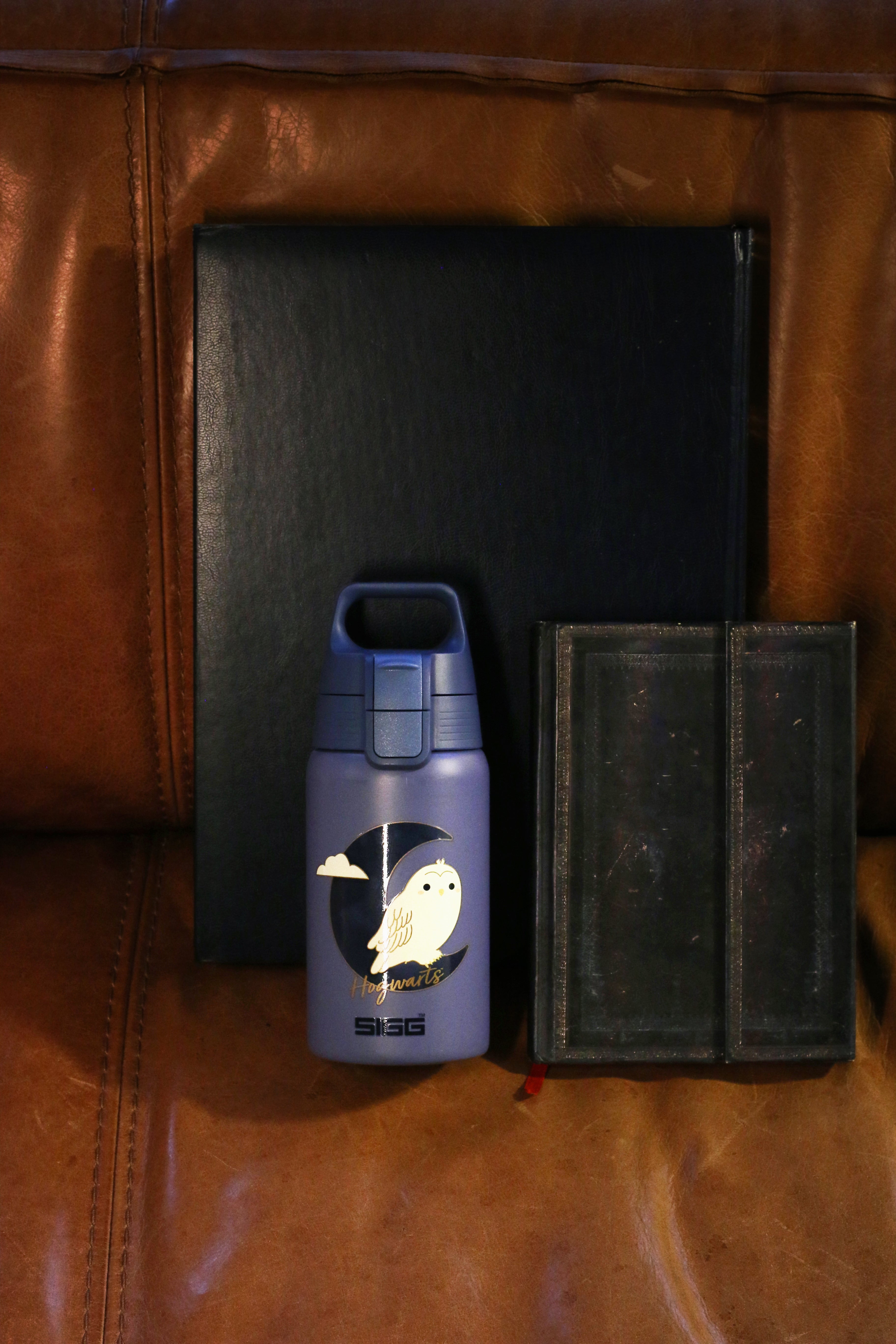 sigg-shield-one-hedwig-0-5-l-botella-t-rmica-de-acero-inoxidable-de-0-5-litros-a image 6