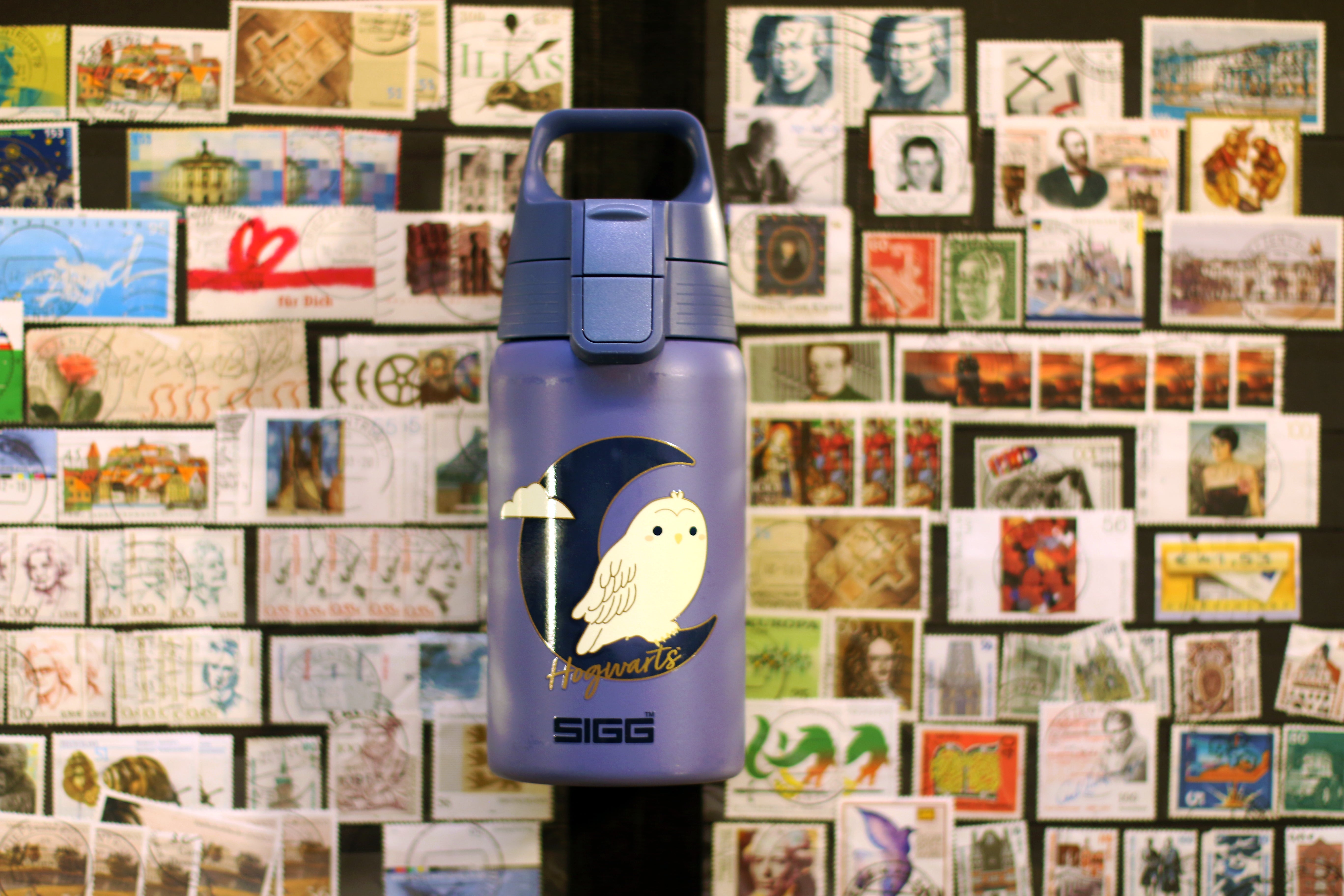 sigg-shield-one-hedwig-0-5-l-botella-t-rmica-de-acero-inoxidable-de-0-5-litros-a image 7