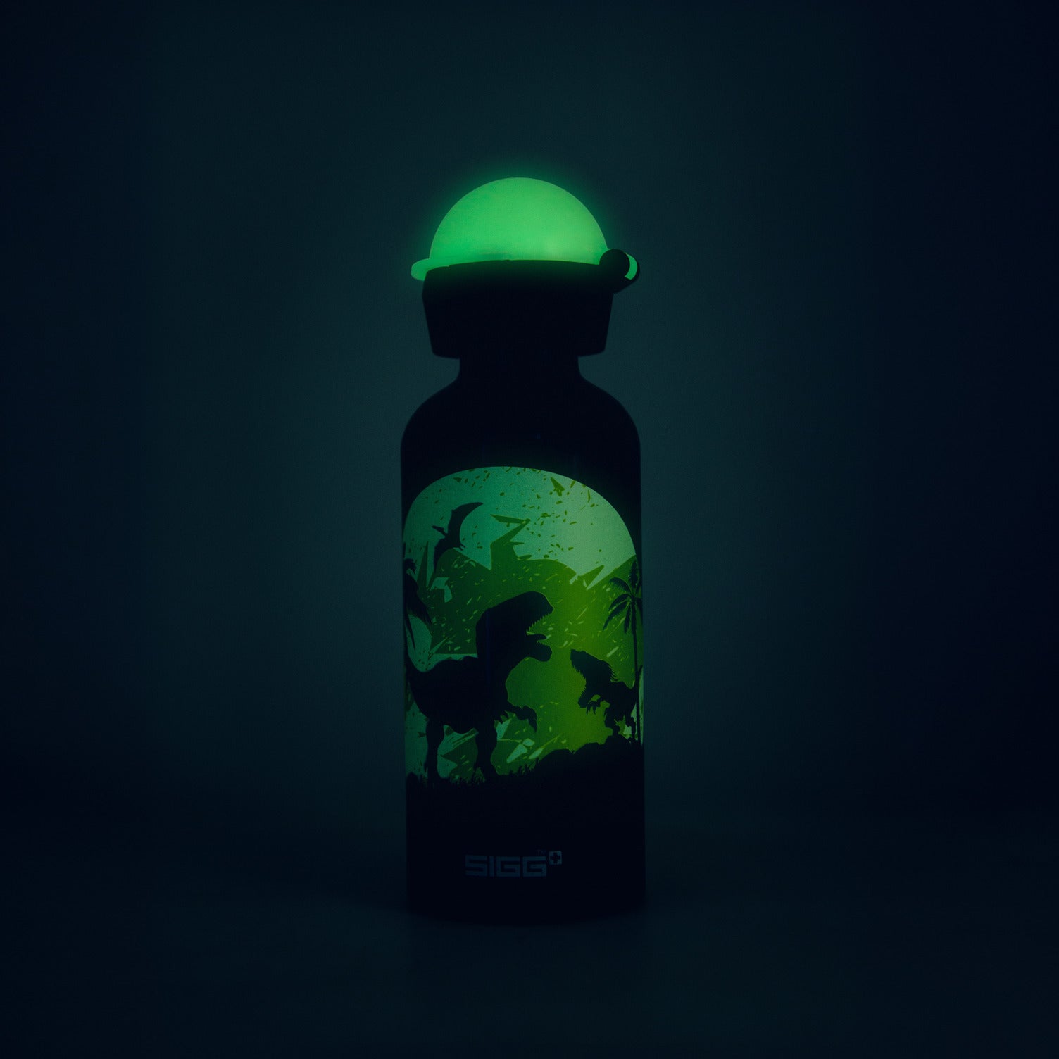 sigg-kbt-glow-in-the-dark-botella-infantil-de-aluminio-luminiscente-para-colegio image 7