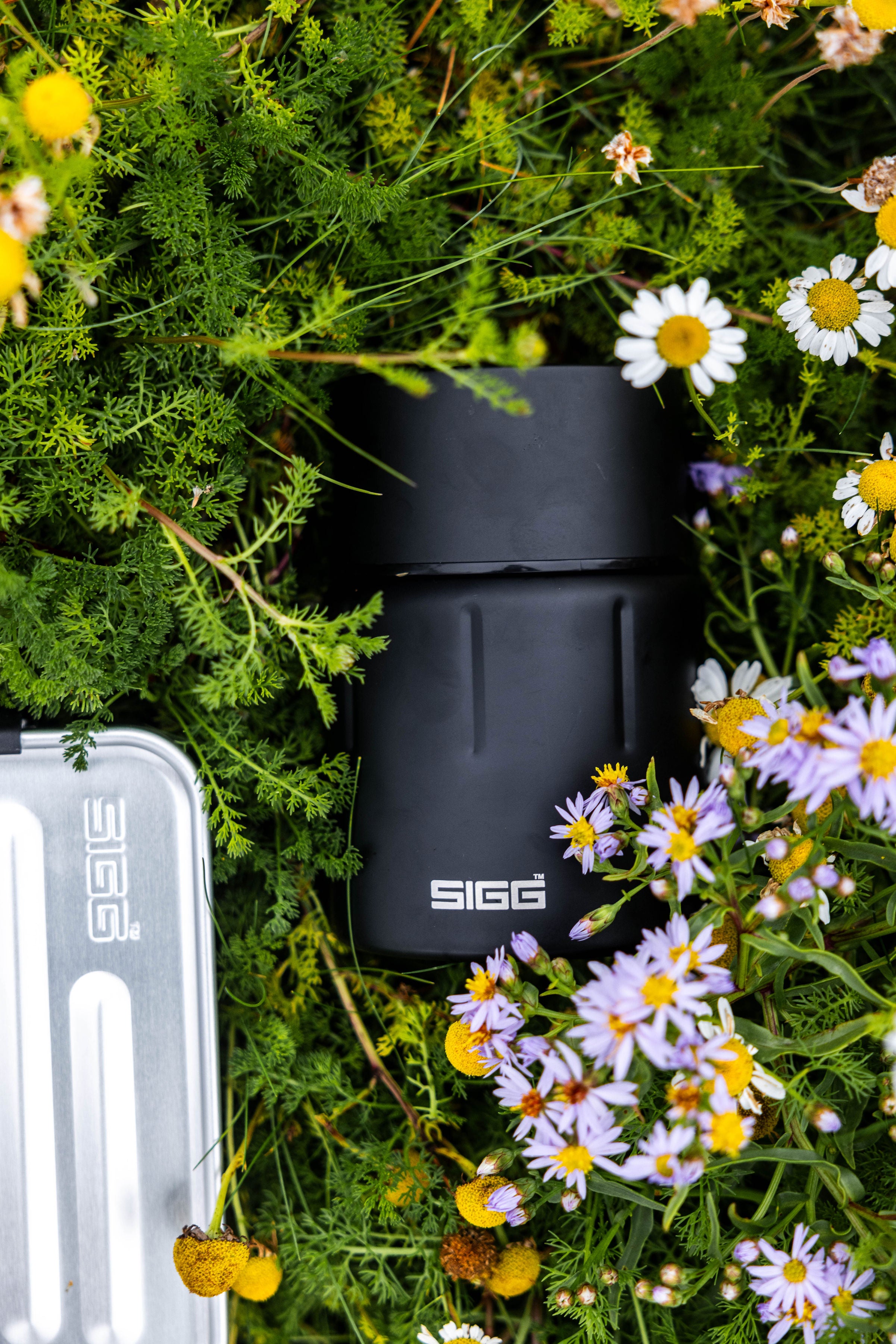 sigg-metal-food-box-caja-de-comida-met-lica-con-inserto-de-pp-extra-ble-para-mic image 8