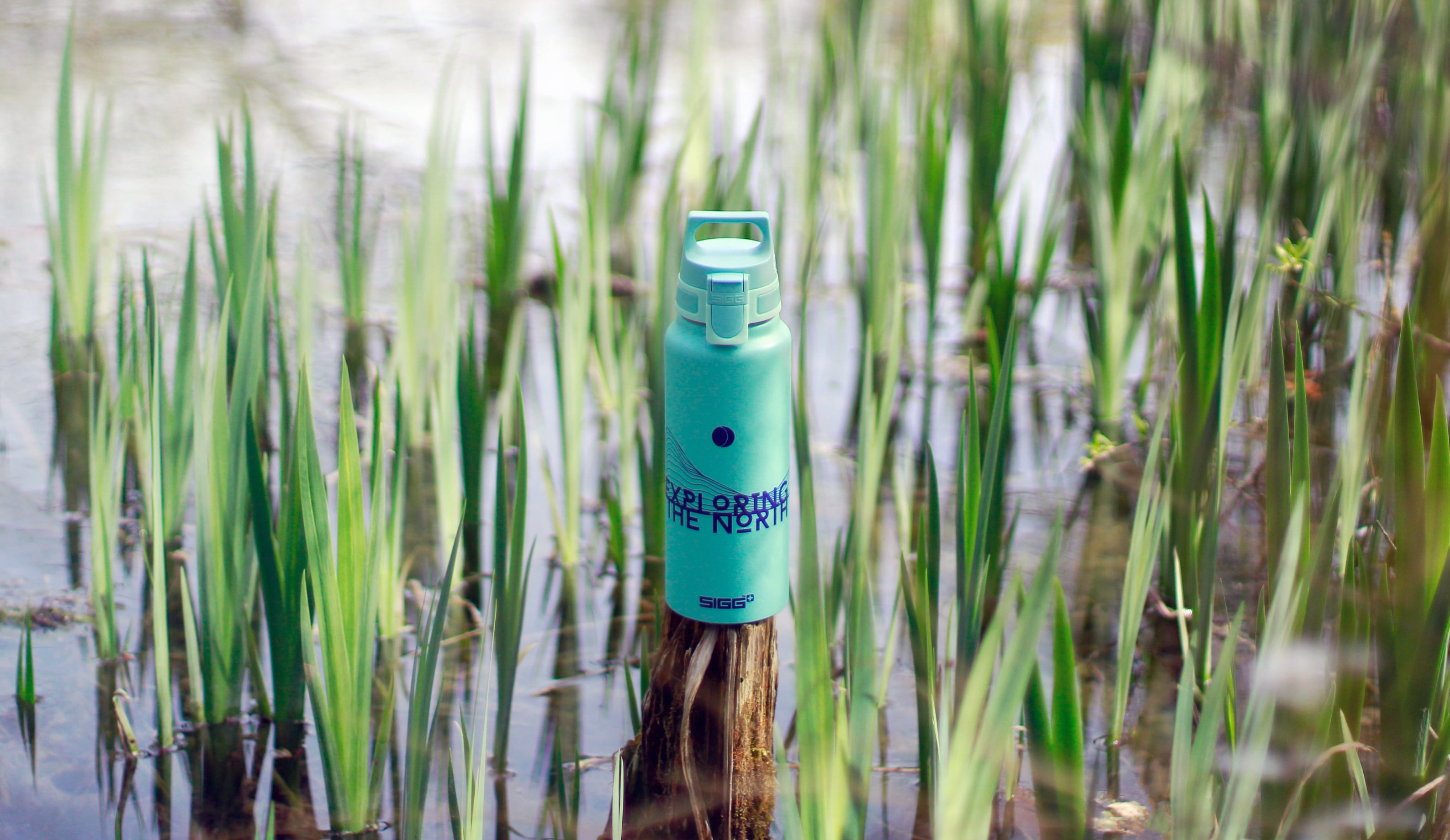 sigg-wmb-pathfinder-botella-de-aluminio-reciclable-para-senderismo-y-outdoor-sin image 7