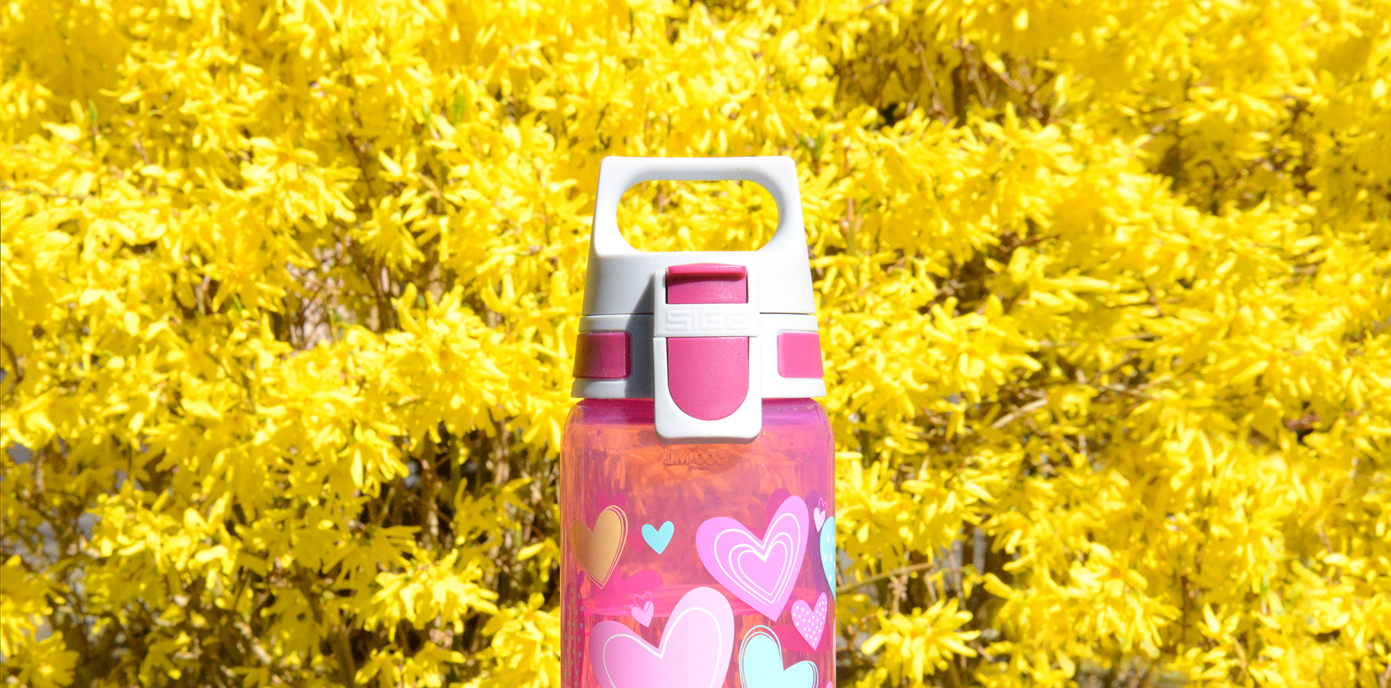 sigg-viva-one-everyday-set-botella-escurridor-hearts image 6